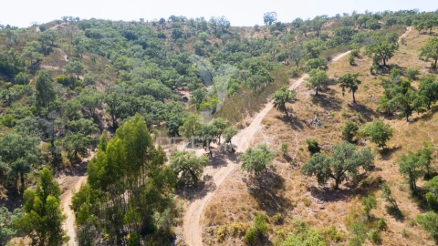 Quinta T3 para Venda em São Salvador e Santa Maria