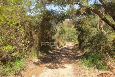 Quinta T3 para Venda em São Salvador e Santa Maria