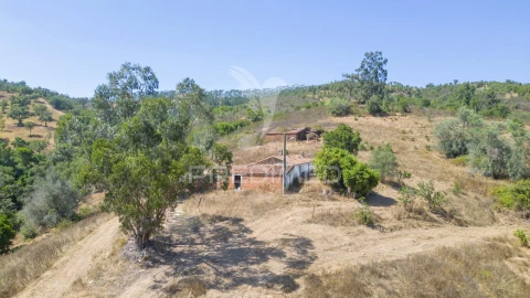 Quinta T3 para Venda em São Salvador e Santa Maria