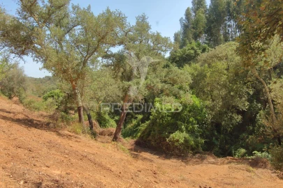 Quinta T3 para Venda em São Salvador e Santa Maria