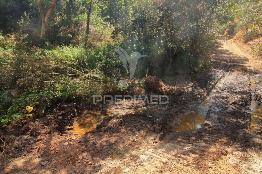 Quinta T3 para Venda em São Salvador e Santa Maria Foto 19