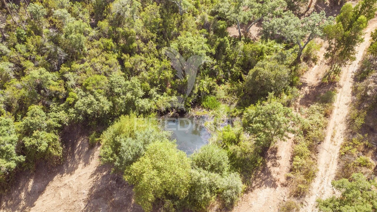 Quinta T3 para Venda em São Salvador e Santa Maria Foto 7