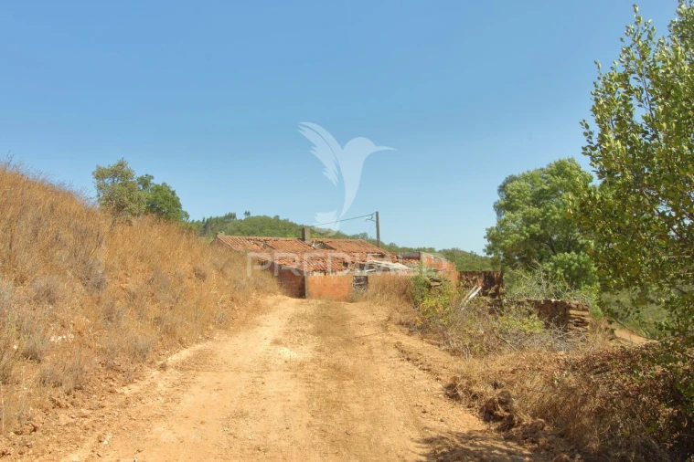 Quinta T3 para Venda em São Salvador e Santa Maria Foto 28
