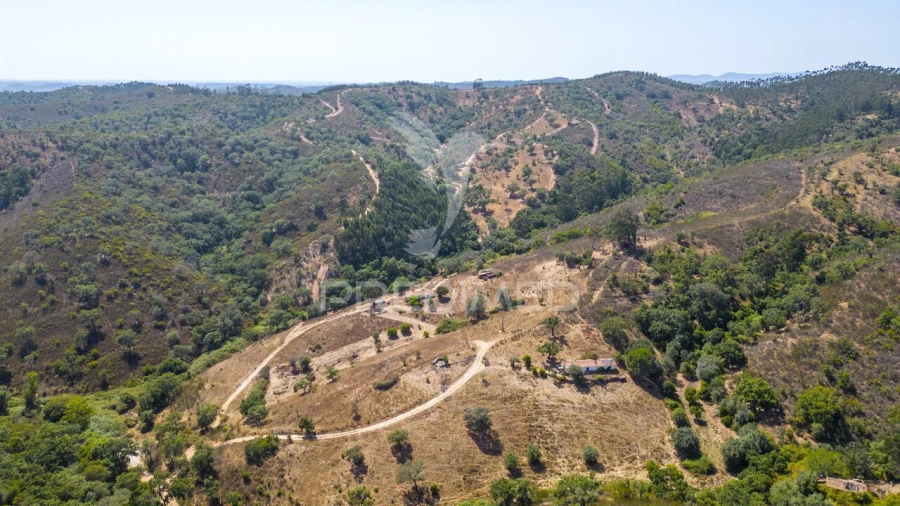 Quinta T3 para Venda em São Salvador e Santa Maria Foto 10