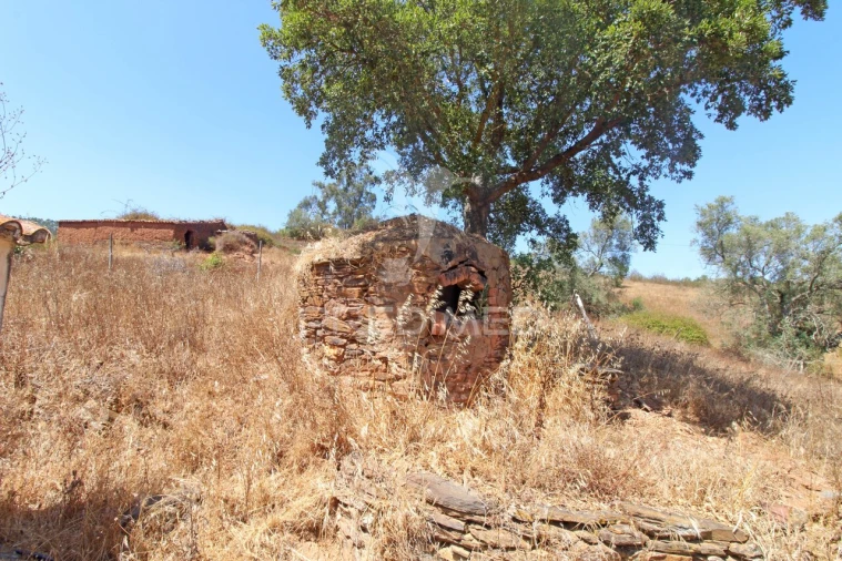 Quinta T3 para Venda em São Salvador e Santa Maria Foto 29