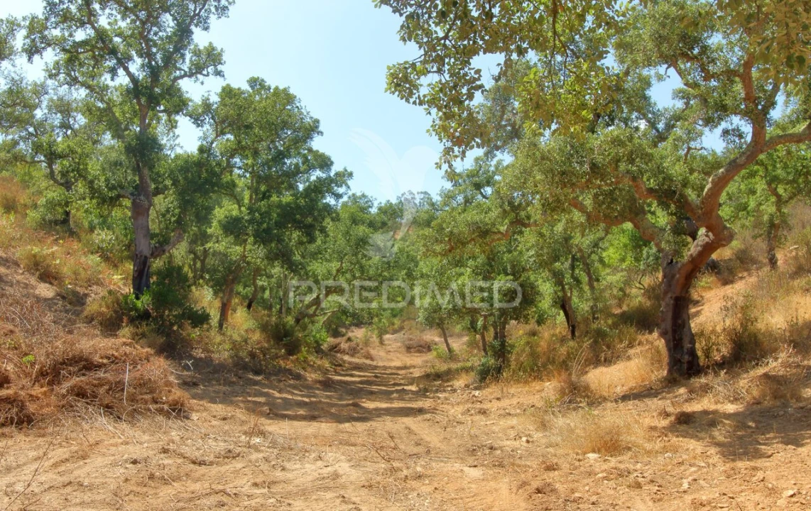 Quinta T3 para Venda em São Salvador e Santa Maria Foto 18