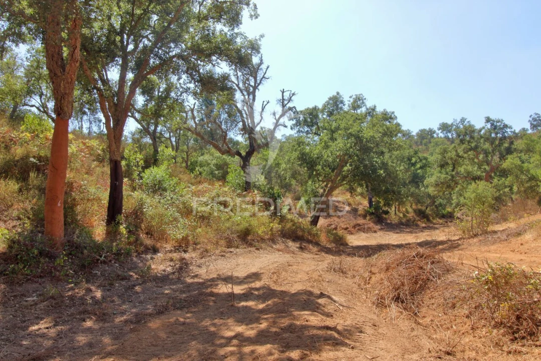 Quinta T3 para Venda em São Salvador e Santa Maria Foto 17