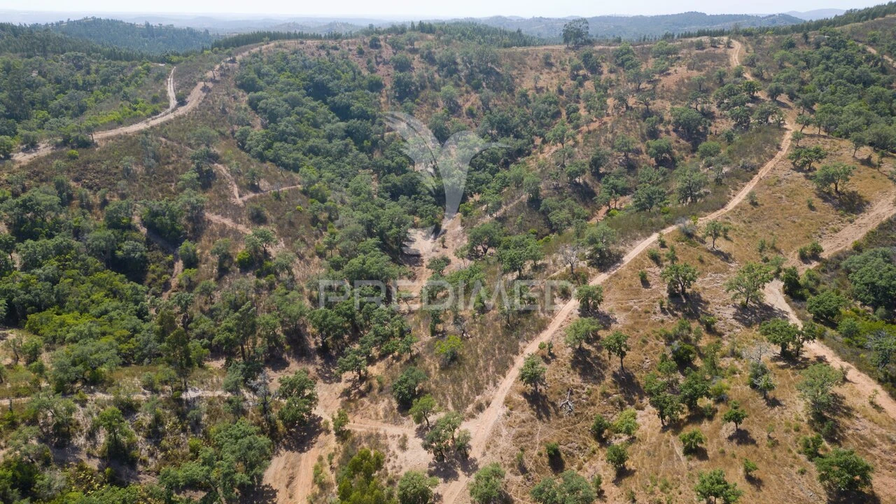 Quinta T3 para Venda em São Salvador e Santa Maria Foto 22