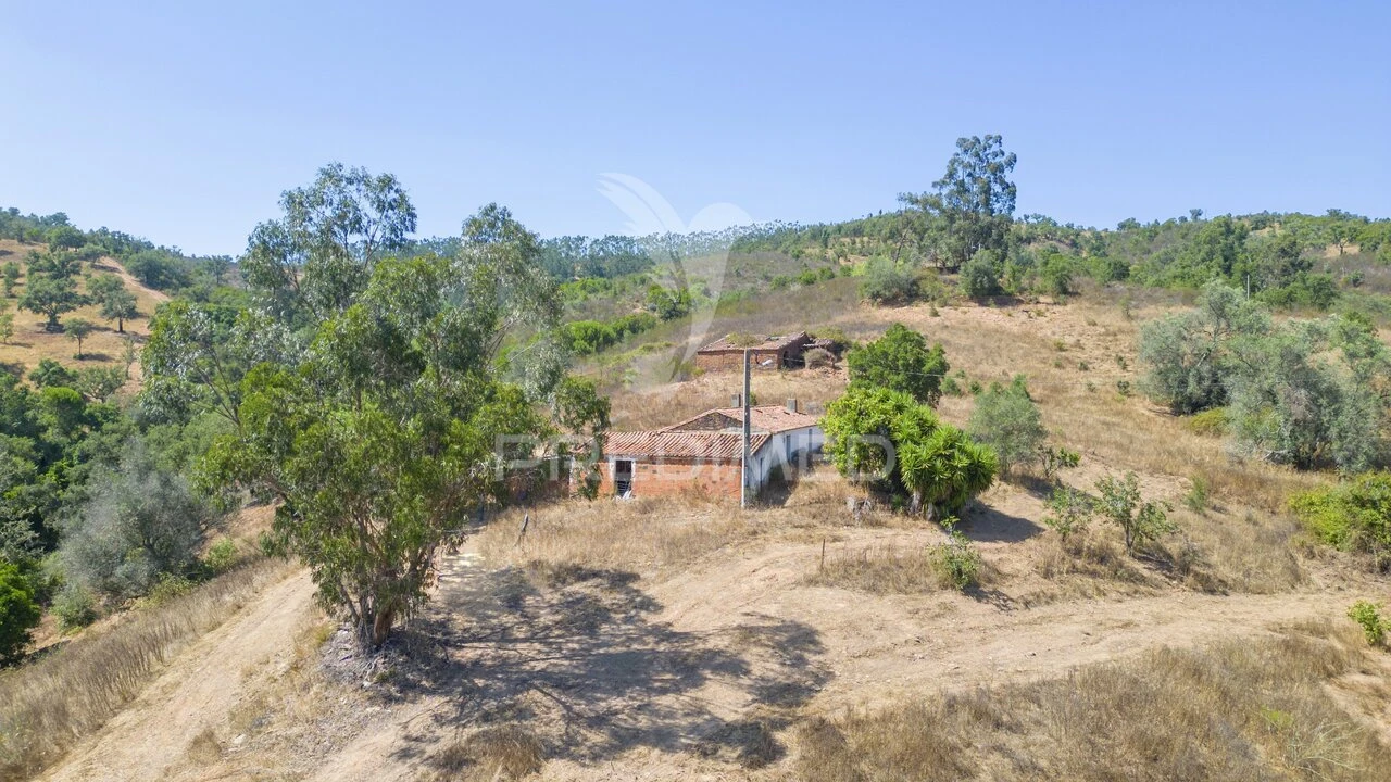 Quinta T3 para Venda em São Salvador e Santa Maria Foto 3