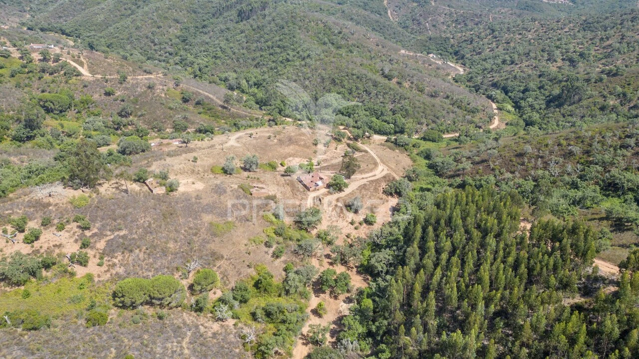 Quinta T3 para Venda em São Salvador e Santa Maria Foto 6