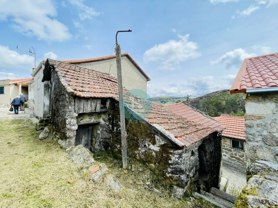 Quinta T5 para Venda em Viade de Baixo e Fervidelas Foto 16