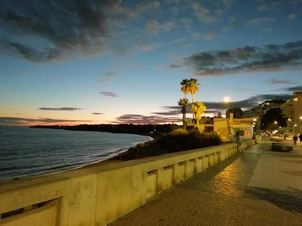 Terreno para Venda em Alcantarilha e Pêra Foto 5