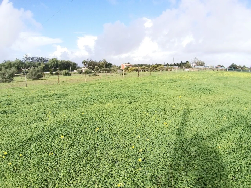 Terreno para Venda em Alcantarilha e Pêra Foto 1