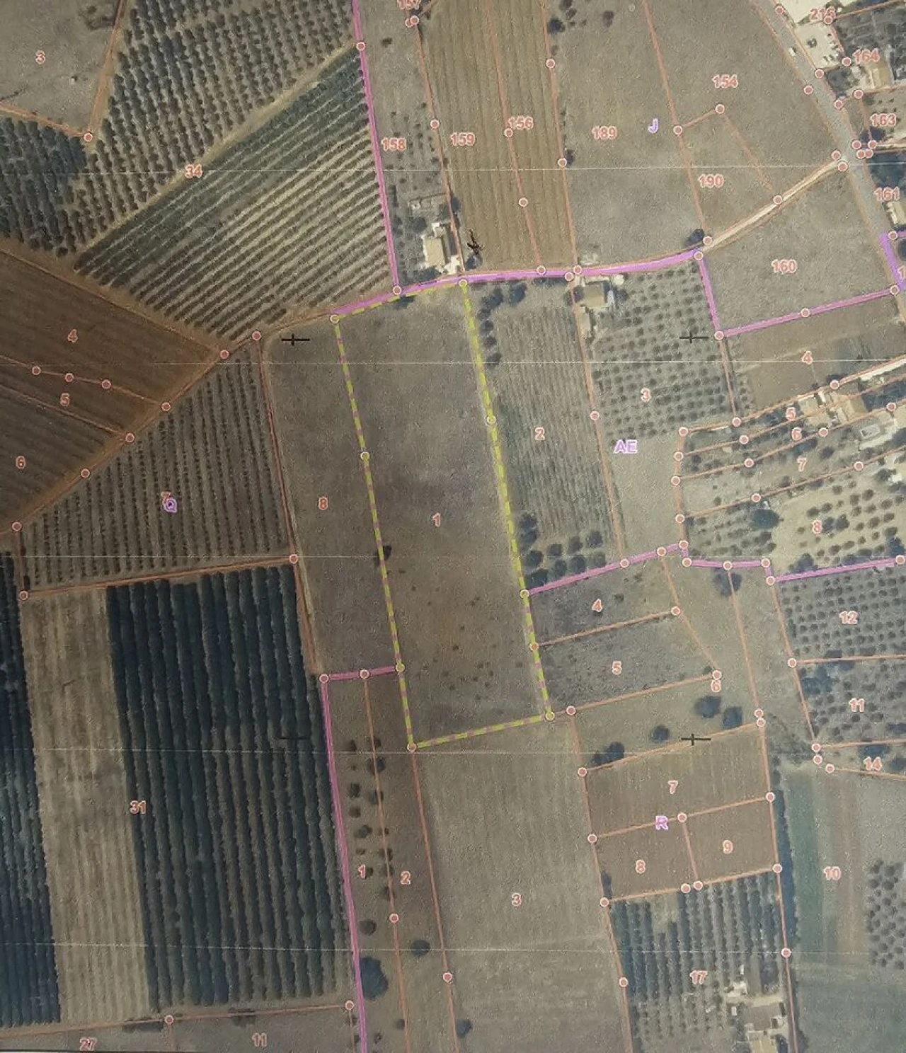 Terreno para Venda em Alcantarilha e Pêra Foto 4