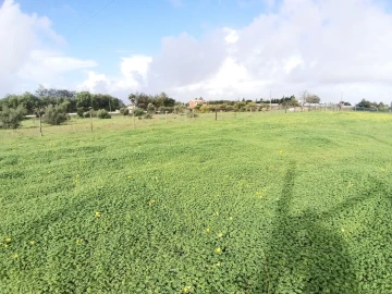 Terreno para Venda em Alcantarilha e Pêra