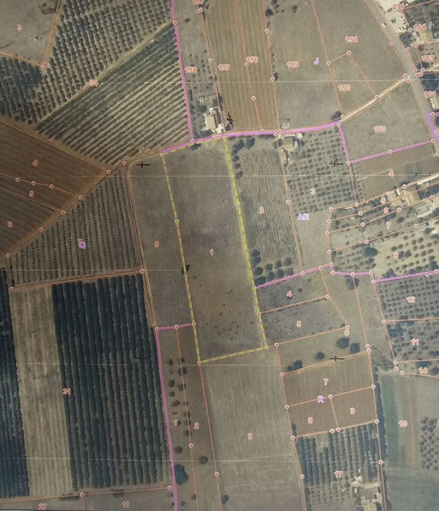Terreno para Venda em Alcantarilha e Pêra Foto 4