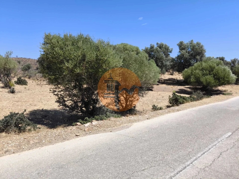 Terreno para Venda em Castro Marim Foto 3