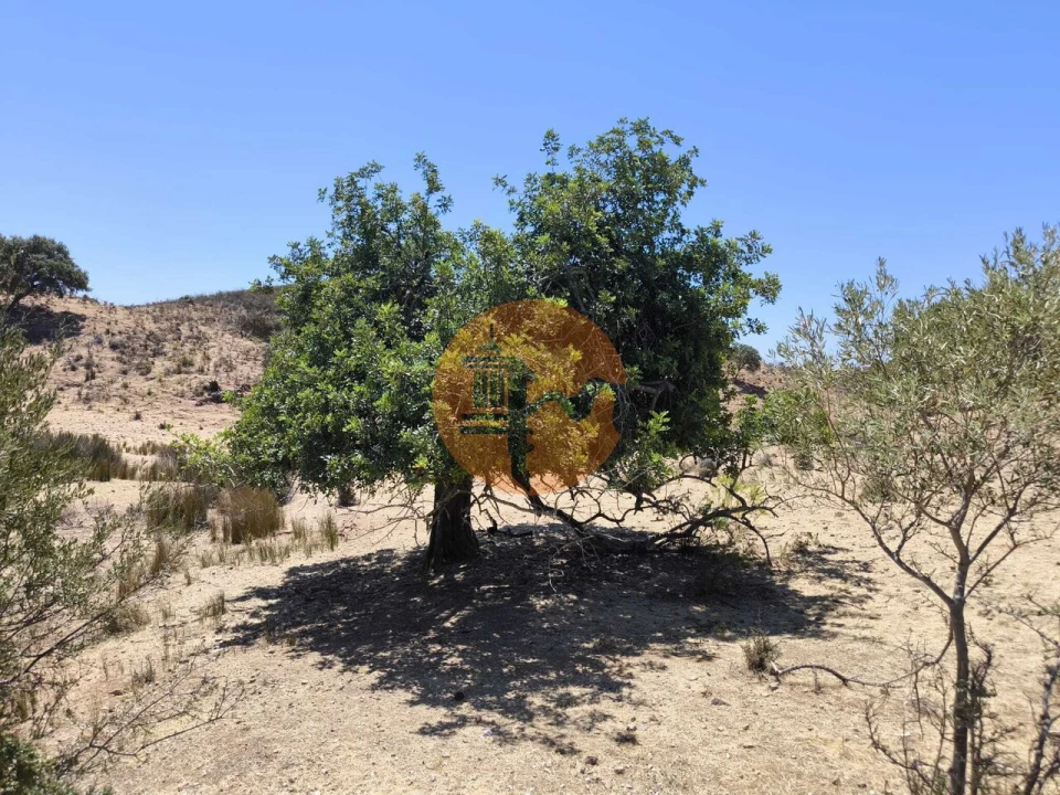 Terreno para Venda em Castro Marim Foto 10