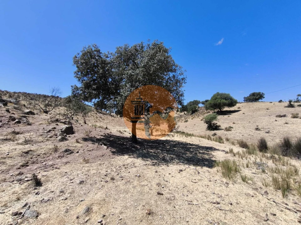 Terreno para Venda em Castro Marim Foto 12
