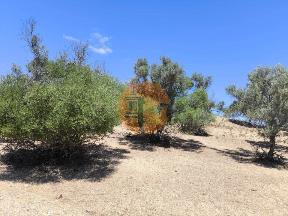 Terreno para Venda em Castro Marim Foto 16