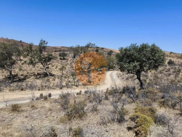 Terreno para Venda em Castro Marim