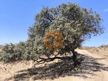 Terreno para Venda em Castro Marim