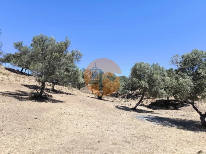 Terreno para Venda em Castro Marim Foto 14