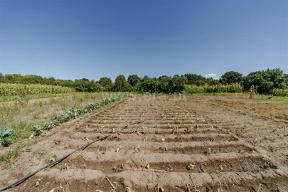 Terreno para Venda em Capinha