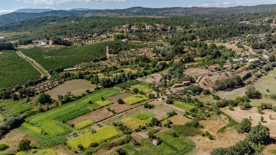 Terreno para Venda em Capinha Foto 6