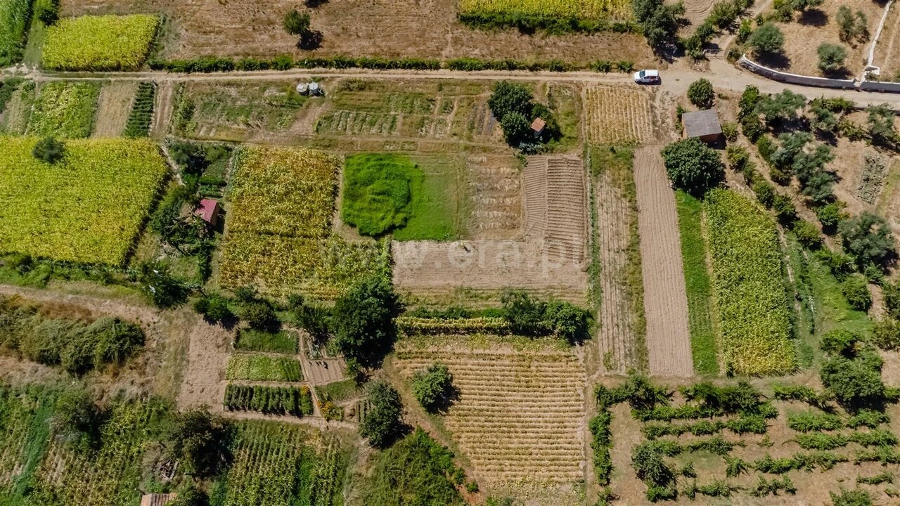 Terreno para Venda em Capinha Foto 1