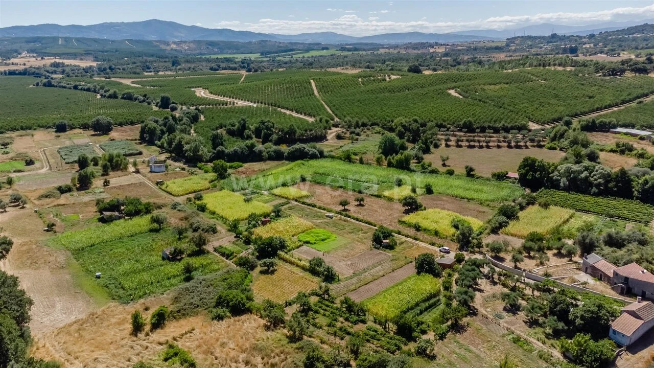 Terreno para Venda em Capinha Foto 4