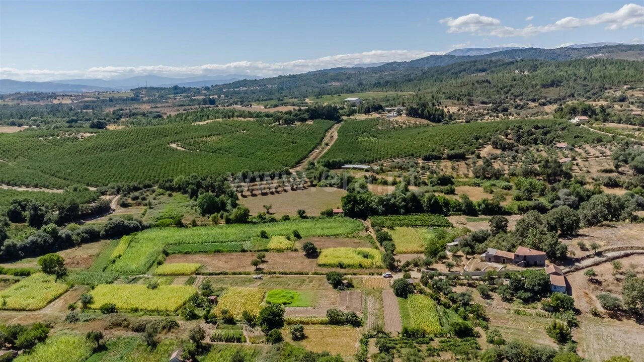 Terreno para Venda em Capinha Foto 5