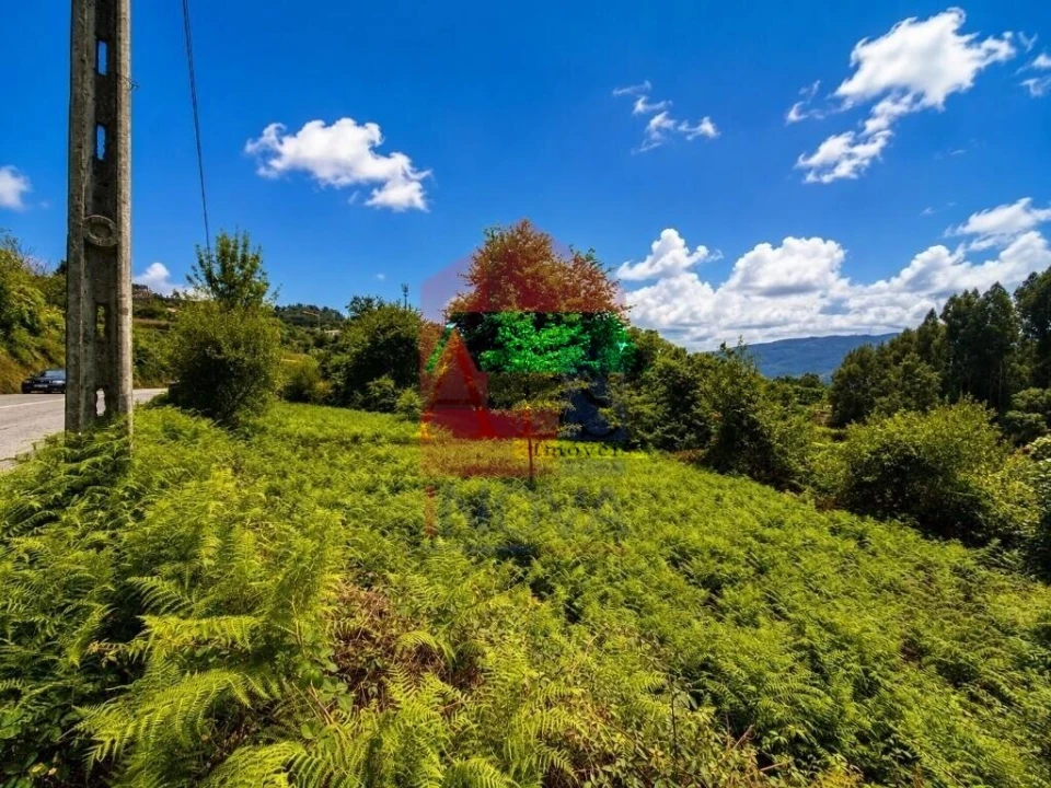 Terreno para Venda em Aboim da Nóbrega e Gondomar Foto 3
