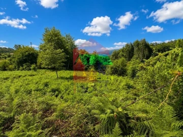 Terreno para Venda em Aboim da Nóbrega e Gondomar