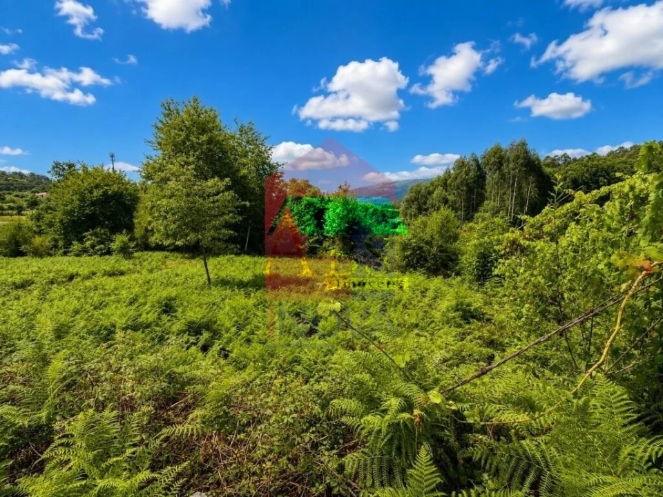 Terreno para Venda em Aboim da Nóbrega e Gondomar Foto 4