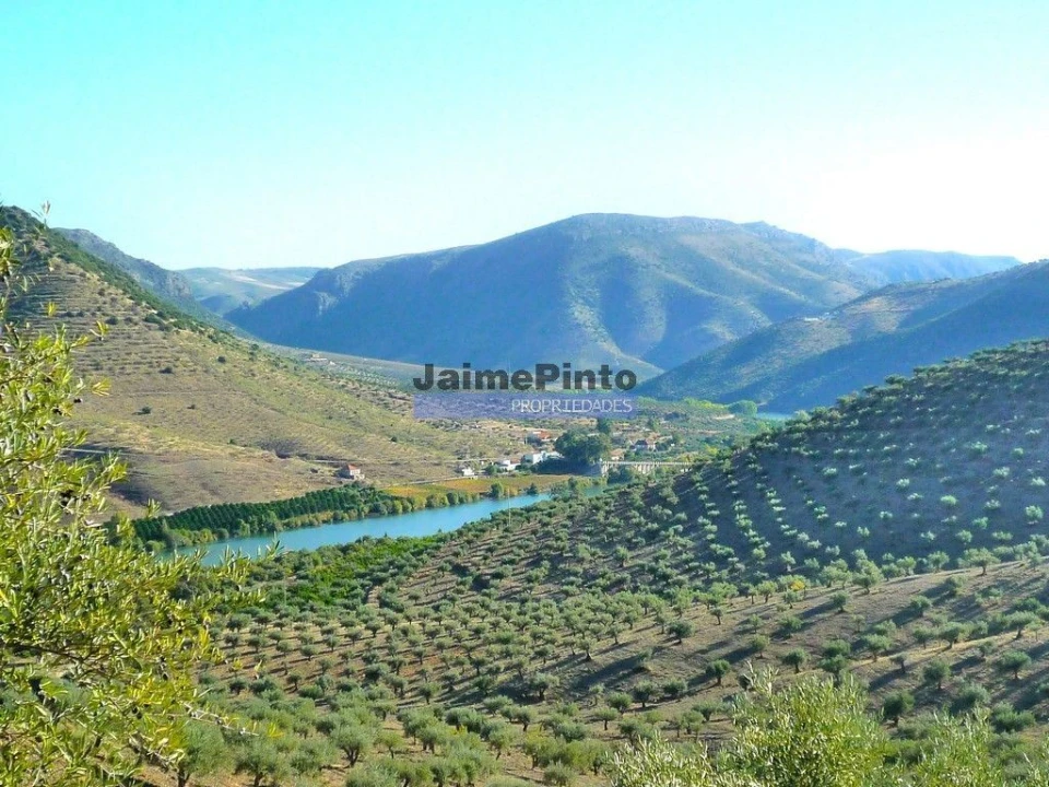 Terreno Agricola ou Rústico para Venda em Escalhão Foto 9