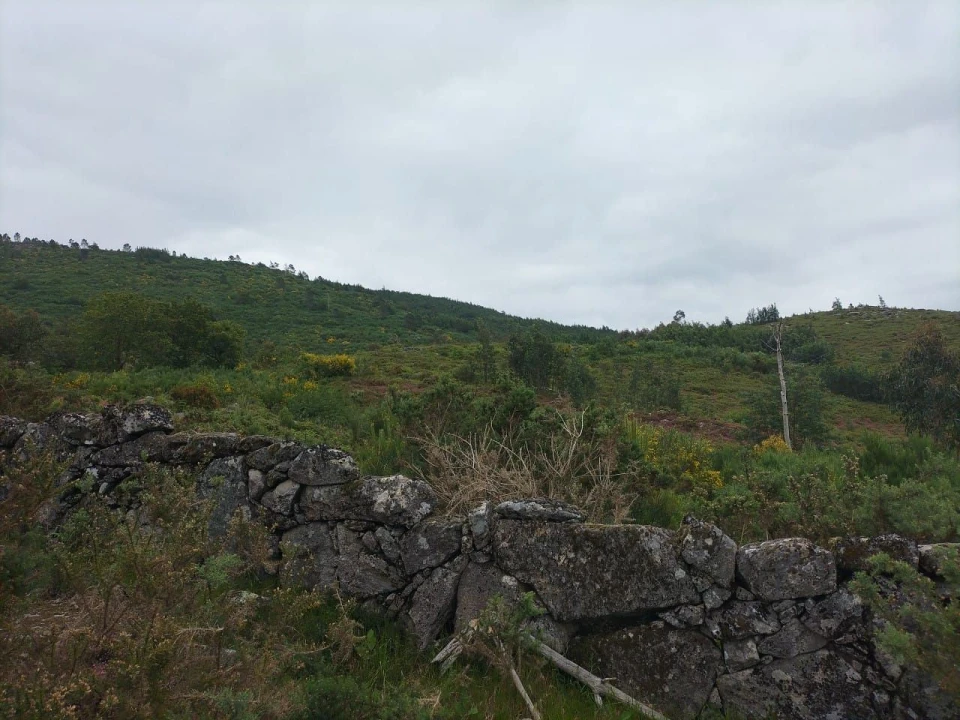Terreno Agricola ou Rústico para Venda em Anjos e Vilar do Chão Foto 3