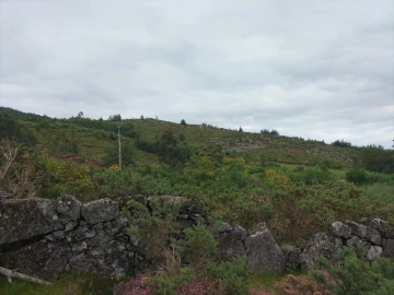 Terreno Agricola ou Rústico para Venda em Anjos e Vilar do Chão
