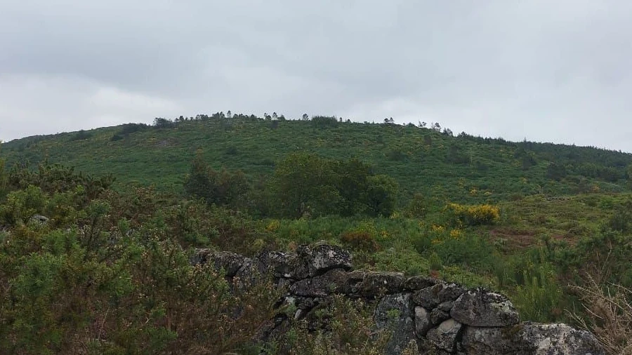 Terreno Agricola ou Rústico para Venda em Anjos e Vilar do Chão