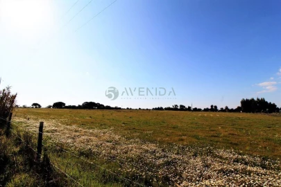 Terreno para Venda em Palmela