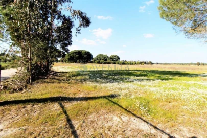 Terreno para Venda em Palmela