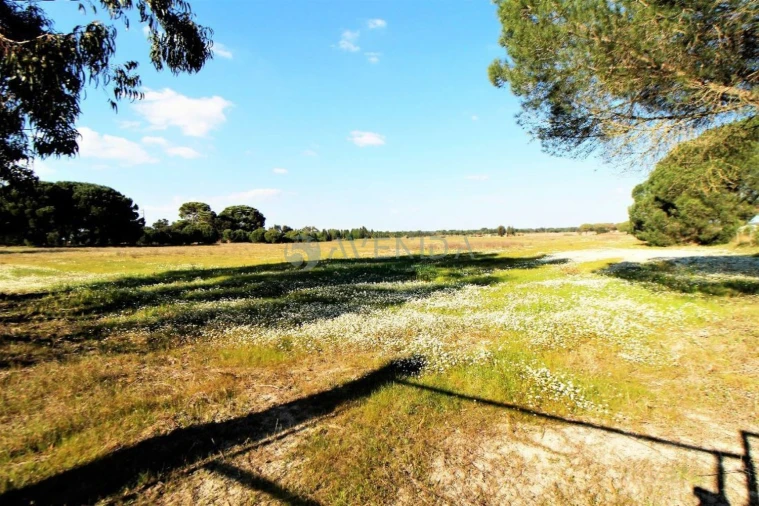 Terreno para Venda em Palmela Foto 3