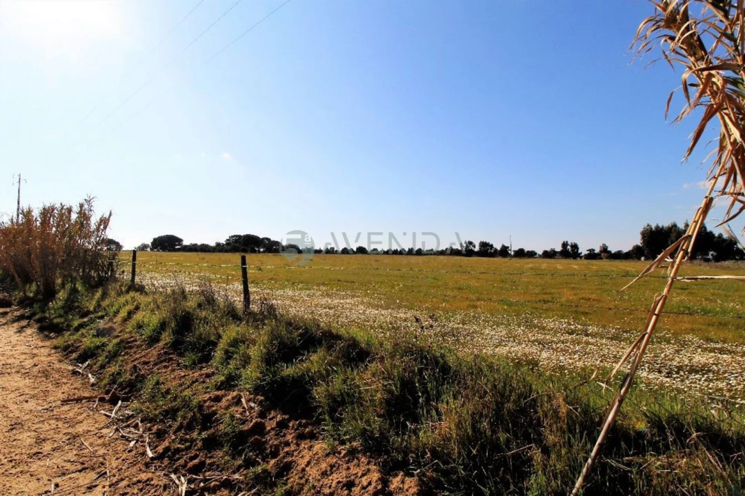 Terreno para Venda em Palmela Foto 1