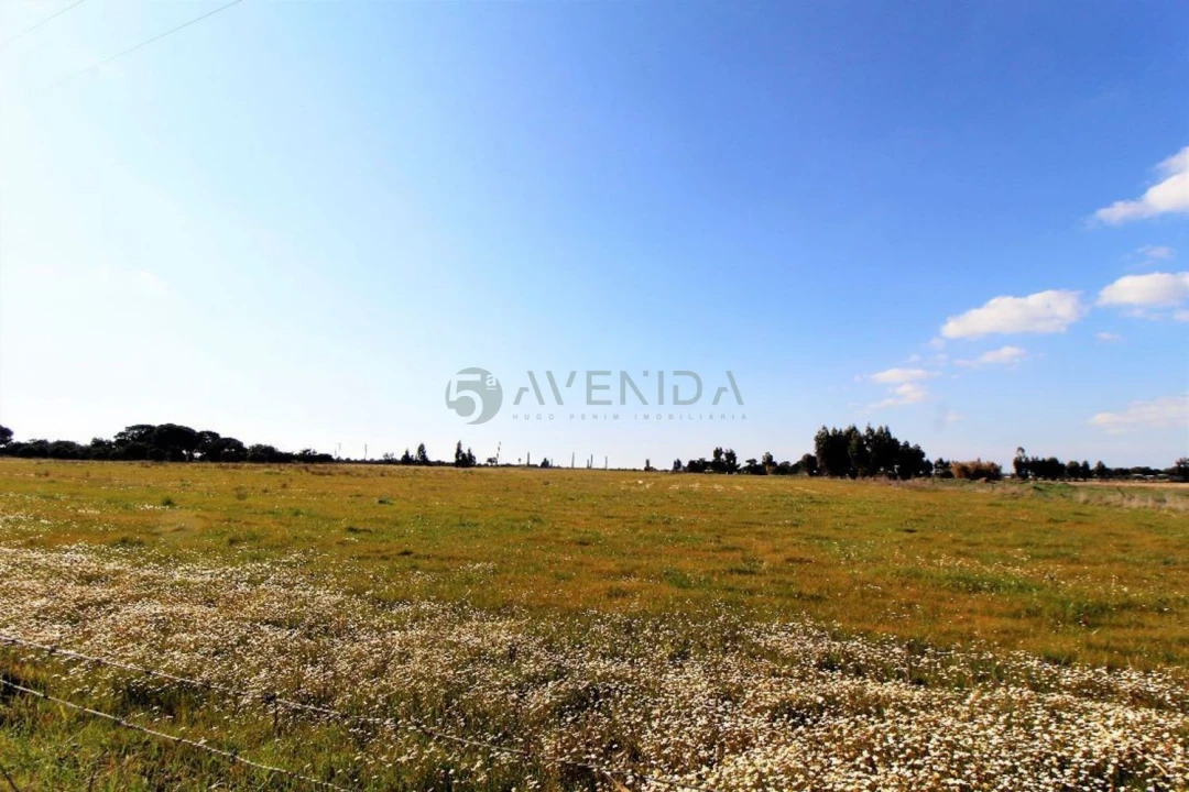 Terreno para Venda em Palmela Foto 5