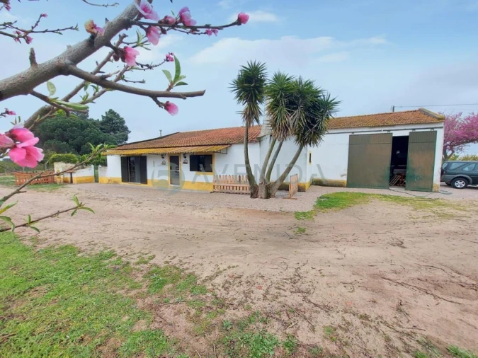 Moradia T2 para Venda em Poceirão e Marateca Foto 4