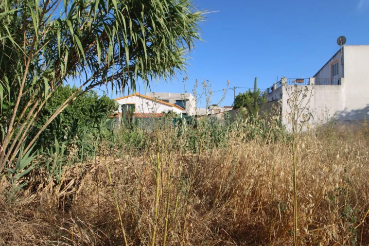 Terreno para Venda em Azeitão (São Lourenço e São Simão) Foto 2