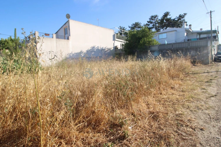Terreno para Venda em Azeitão (São Lourenço e São Simão) Foto 8