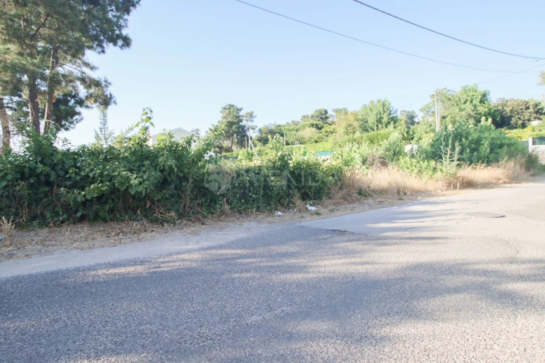 Terreno para Venda em Azeitão (São Lourenço e São Simão) Foto 4
