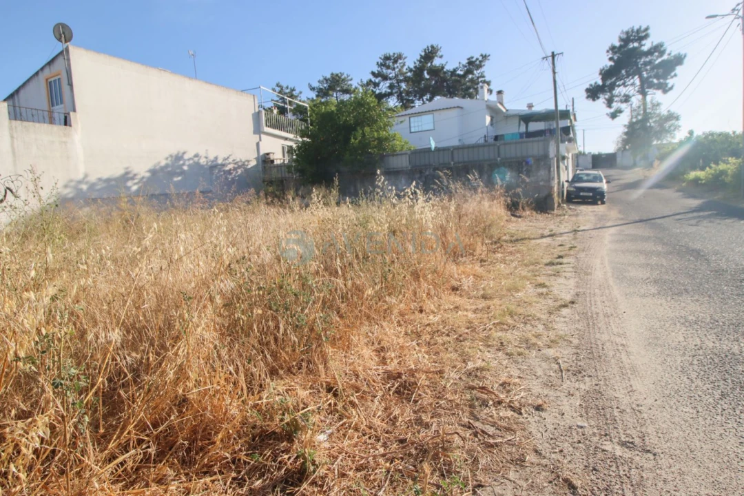 Terreno para Venda em Azeitão (São Lourenço e São Simão) Foto 9