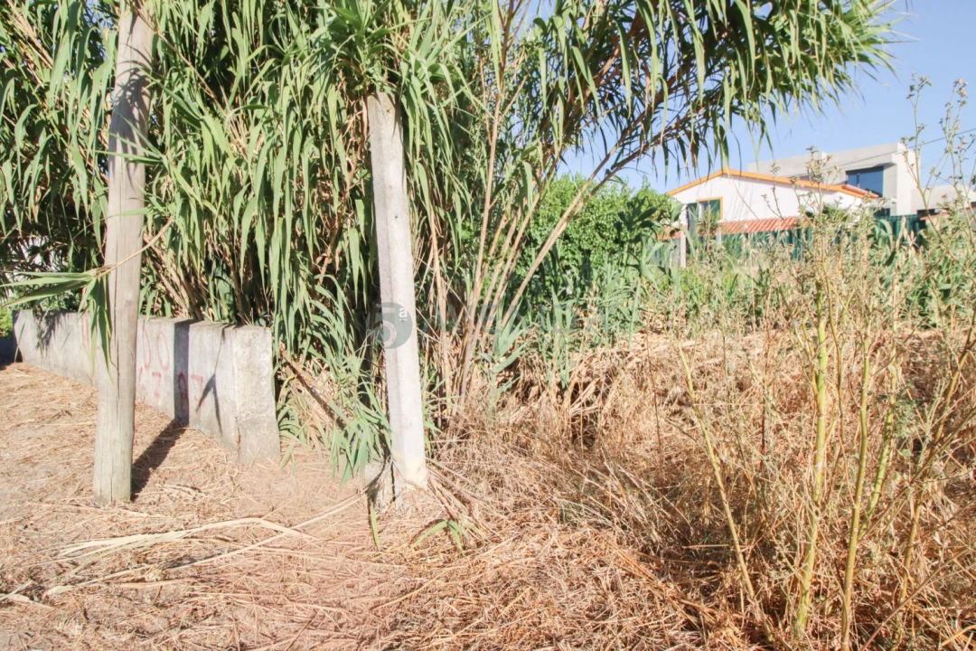 Terreno para Venda em Azeitão (São Lourenço e São Simão) Foto 7